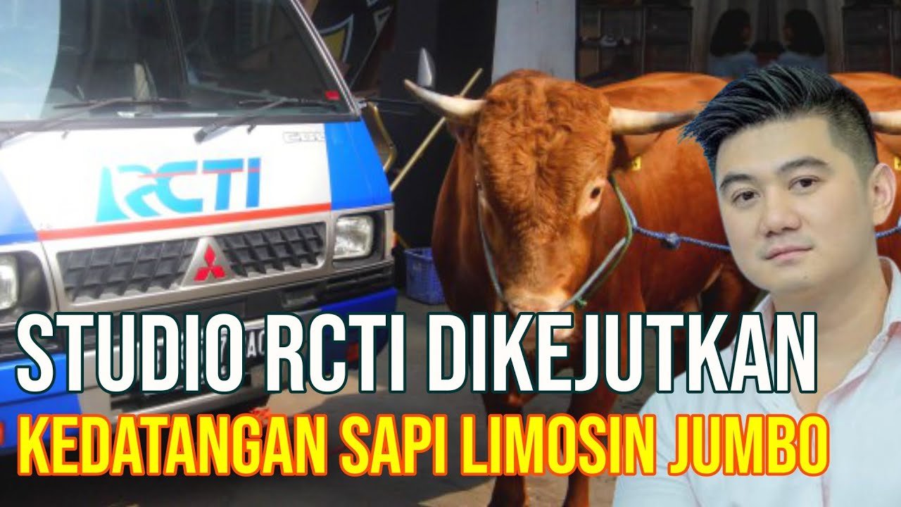 Sapi Jumbo Di Studio Masterchef Indonesia.jpg